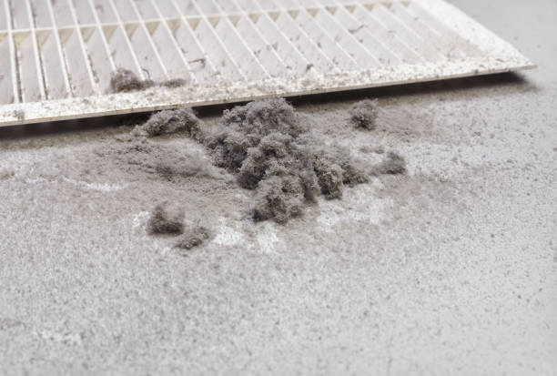 Best Ventilation Cleaning Services  in Brown Station, MD