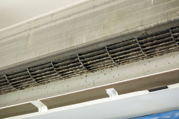Best Duct Cleaning for Homes  in Brown Station, MD